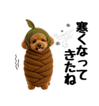 【秋冬】ずっと使えるトイプードル（個別スタンプ：12）