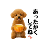 【秋冬】ずっと使えるトイプードル（個別スタンプ：13）