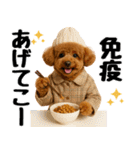 【秋冬】ずっと使えるトイプードル（個別スタンプ：14）