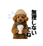 【秋冬】ずっと使えるトイプードル（個別スタンプ：16）