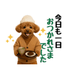 【秋冬】ずっと使えるトイプードル（個別スタンプ：18）