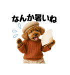 【秋冬】ずっと使えるトイプードル（個別スタンプ：20）