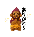 【秋冬】ずっと使えるトイプードル（個別スタンプ：23）