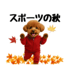 【秋冬】ずっと使えるトイプードル（個別スタンプ：29）