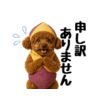 【秋冬】ずっと使えるトイプードル（個別スタンプ：33）