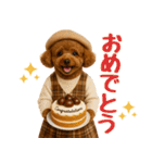 【秋冬】ずっと使えるトイプードル（個別スタンプ：34）