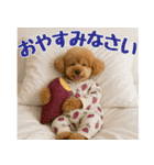 【秋冬】ずっと使えるトイプードル（個別スタンプ：38）