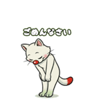 猫茶の1日（日本猫）（個別スタンプ：9）