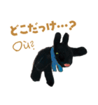 リサとガスパール フランス語と日本語（個別スタンプ：3）