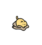 動く！超小さい茶トラ（個別スタンプ：5）