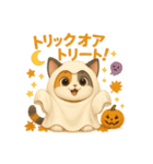 ほっこり秋の三毛ねこスタンプ（個別スタンプ：24）