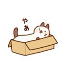 のびのびネコさん2（個別スタンプ：12）