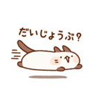 のびのびネコさん2（個別スタンプ：27）