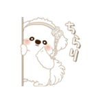白垂れ耳わんこ 2025 「甘えん坊さん」（個別スタンプ：3）