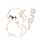 白垂れ耳わんこ 2025 「甘えん坊さん」（個別スタンプ：12）