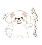 白垂れ耳わんこ 2025 「甘えん坊さん」（個別スタンプ：25）