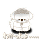 白垂れ耳わんこ 2025 「甘えん坊さん」（個別スタンプ：30）