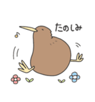 キーウィのキューちゃん（個別スタンプ：4）