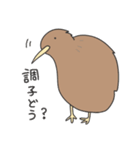 キーウィのキューちゃん（個別スタンプ：16）
