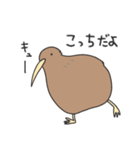 キーウィのキューちゃん（個別スタンプ：31）