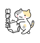 パンツと猫（個別スタンプ：2）