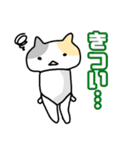 パンツと猫（個別スタンプ：5）