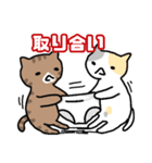 パンツと猫（個別スタンプ：10）