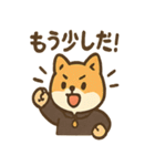 全力どうぶつ応援団（個別スタンプ：13）