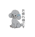 トイプードル グレー（仕事で使える敬語）（個別スタンプ：1）