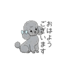 トイプードル グレー（仕事で使える敬語）（個別スタンプ：2）