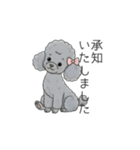 トイプードル グレー（仕事で使える敬語）（個別スタンプ：3）