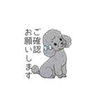 トイプードル グレー（仕事で使える敬語）（個別スタンプ：6）