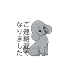 トイプードル グレー（仕事で使える敬語）（個別スタンプ：7）