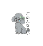 トイプードル グレー（仕事で使える敬語）（個別スタンプ：8）