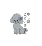 トイプードル グレー（仕事で使える敬語）（個別スタンプ：9）