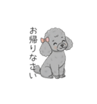 トイプードル グレー（仕事で使える敬語）（個別スタンプ：11）