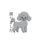 トイプードル グレー（仕事で使える敬語）（個別スタンプ：12）