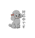 トイプードル グレー（仕事で使える敬語）（個別スタンプ：14）