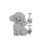 トイプードル グレー（仕事で使える敬語）（個別スタンプ：15）