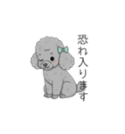 トイプードル グレー（仕事で使える敬語）（個別スタンプ：16）