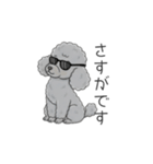 トイプードル グレー（仕事で使える敬語）（個別スタンプ：17）