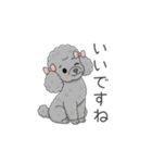トイプードル グレー（仕事で使える敬語）（個別スタンプ：18）