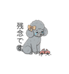 トイプードル グレー（仕事で使える敬語）（個別スタンプ：19）
