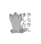 トイプードル グレー（仕事で使える敬語）（個別スタンプ：22）