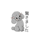 トイプードル グレー（仕事で使える敬語）（個別スタンプ：23）