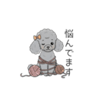 トイプードル グレー（仕事で使える敬語）（個別スタンプ：26）