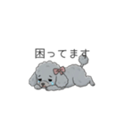 トイプードル グレー（仕事で使える敬語）（個別スタンプ：28）