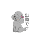 トイプードル グレー（仕事で使える敬語）（個別スタンプ：30）