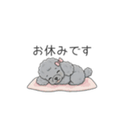 トイプードル グレー（仕事で使える敬語）（個別スタンプ：31）