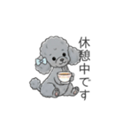 トイプードル グレー（仕事で使える敬語）（個別スタンプ：32）